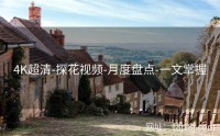 4K超清-探花视频-月度盘点-一文掌握