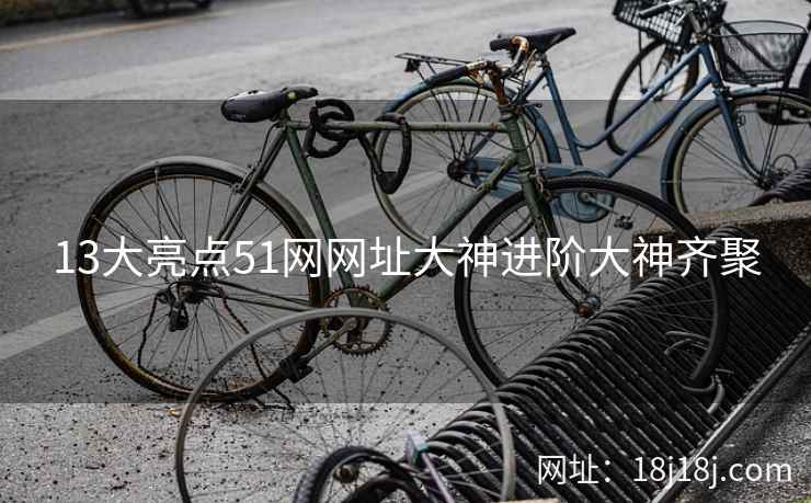13大亮点51网网址大神进阶大神齐聚