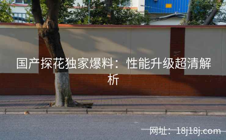 国产探花独家爆料：性能升级超清解析
