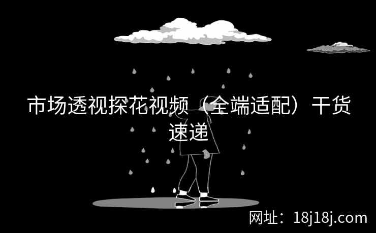 市场透视探花视频（全端适配）干货速递