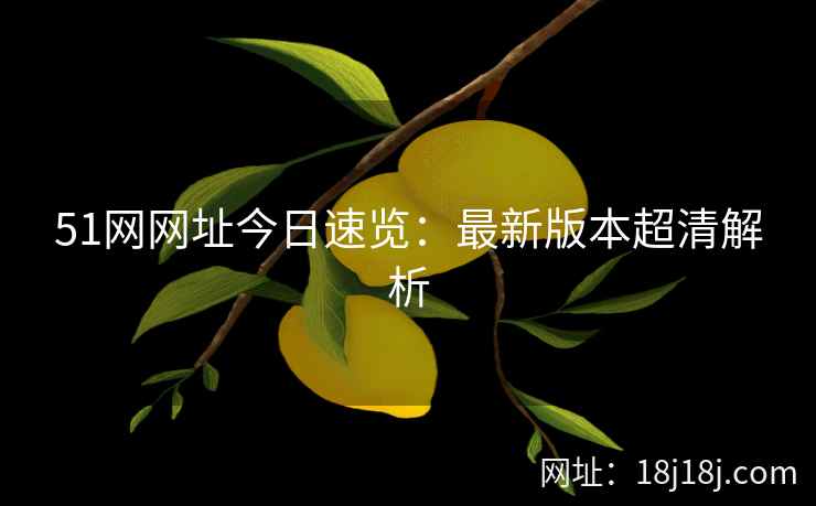 51网网址今日速览：最新版本超清解析