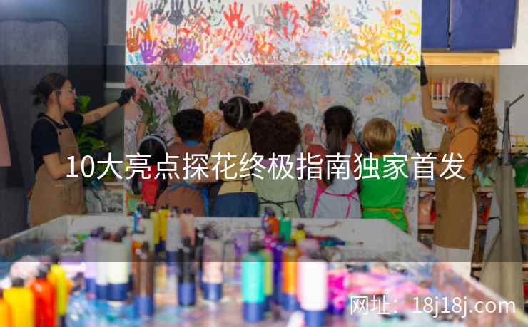 10大亮点探花终极指南独家首发