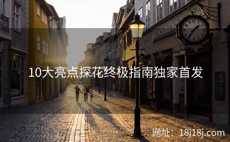 10大亮点探花终极指南独家首发